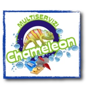 logo chameleon